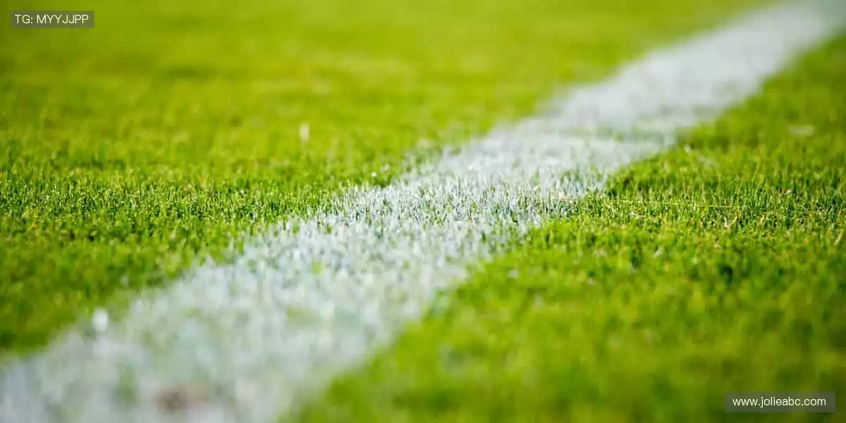 用装备定义实力,让每个动作都无可挑剔!🎾